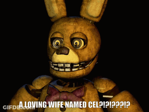 Stuffed Animal Saying A Loving Wife Named Cel GIF