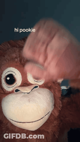 Stuffed Animal Saying Hi Pookie GIF