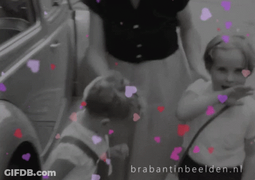 Stuffed Animal Saying I Love You This Much GIF