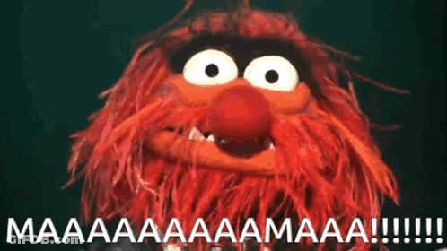 Stuffed Animal Saying Maaaa GIF