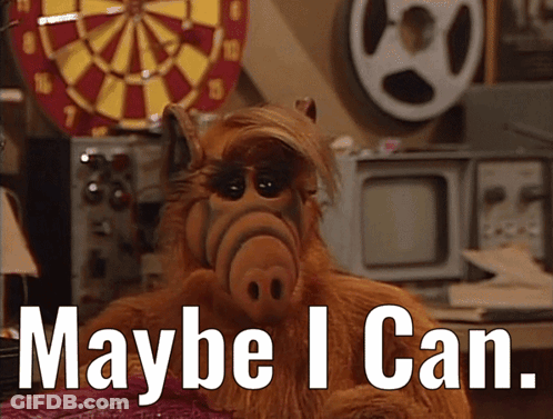 Stuffed Animal Saying Maybe I Can GIF