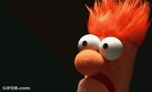 Stuffed Animal Saying Meep Meep GIF