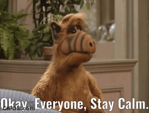 Stuffed Animal Saying Okay Everyone Stay Calm GIF