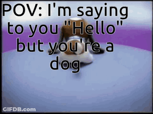 Stuffed Animal Saying Pov I M Saying To You GIF