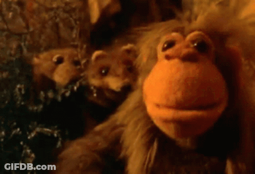 Stuffed Animal Saying The Devil GIF