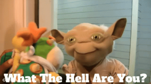 Stuffed Animal Saying What The Hell Are You GIF