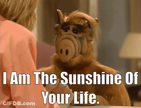 Stuffed Animal Says I Am The Sunshine Of Your Life Next To Woman GIF