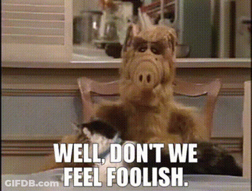 Stuffed Animal Sitting At Table Saying Well Don't We Feel Foolish GIF