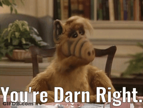 Stuffed Animal Sitting At Table Saying You're Darn Right GIF