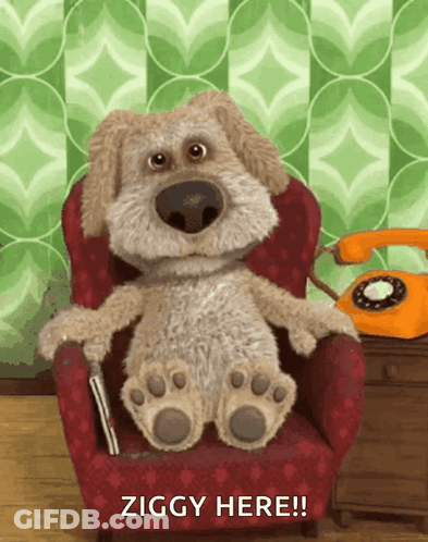Stuffed Animal Sitting In Chair Ziggy Here GIF