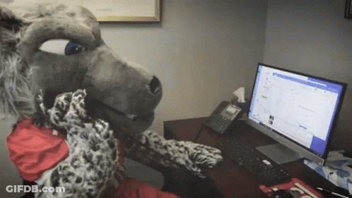 Stuffed Animal Sitting In Front Of Computer GIF