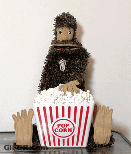 Stuffed Animal Sitting On Popcorn Bucket GIF