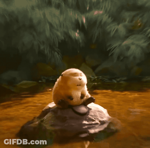 Stuffed Animal Sitting On Rock GIF