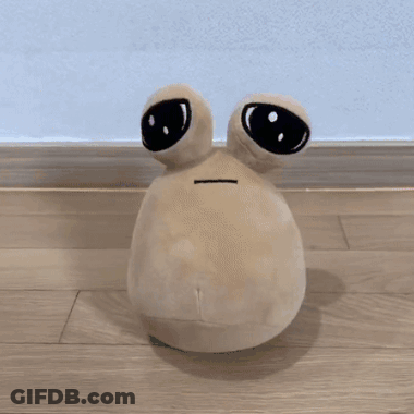 Stuffed Animal Sitting On Wood Floor GIF