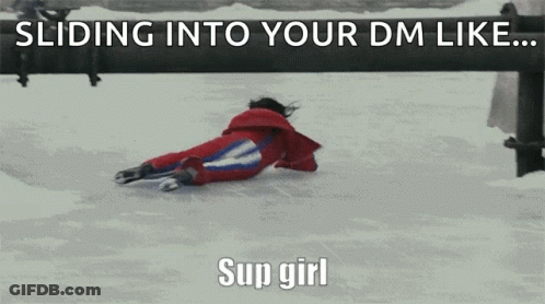 Stuffed Animal Sliding Down Hello Chat Slide GIF
