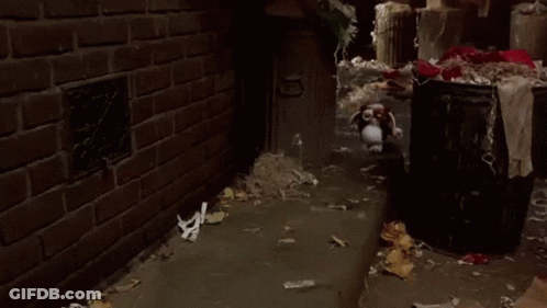Stuffed Animal Standing On Sidewalk Next To Brick Wall Number 10 GIF
