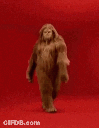 Stuffed Animal Walking GIF
