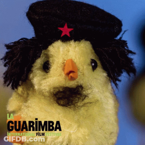 Stuffed Animal Wearing Black Hat With Red Star Guarimba International Film Festival GIF