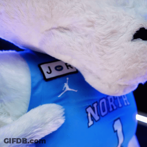 Stuffed Animal Wearing North 1 Jersey GIF