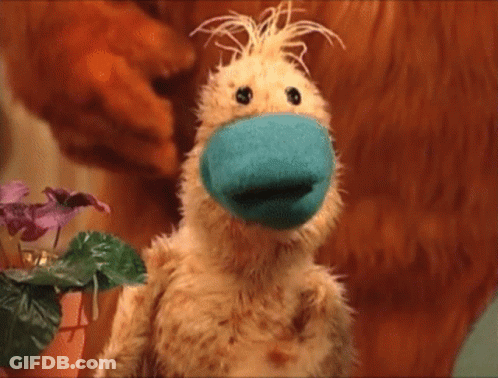 Stuffed Animal With Blue Sock On Nose GIF