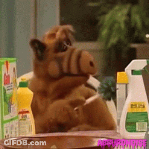 Stuffed Animal With Cleaning Supplies And Police Spray Bottle GIF