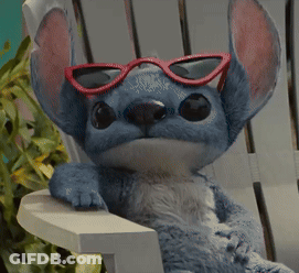 Stuffed Animal With Red Sunglasses On Chair GIF