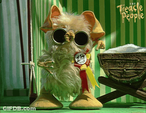 Stuffed Animal With Sunglasses And 1St Prize Ribbon GIF