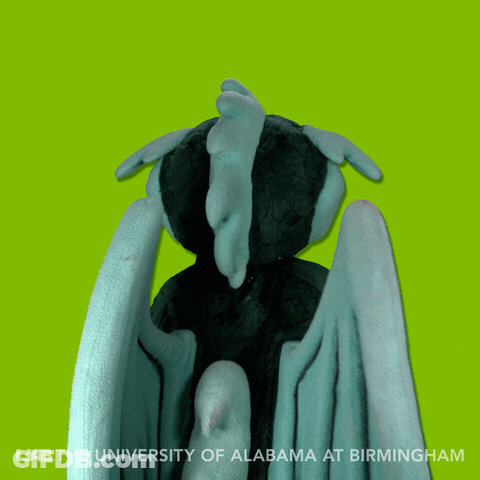 Stuffed Animal With University Of Alabama At Birmingham GIF