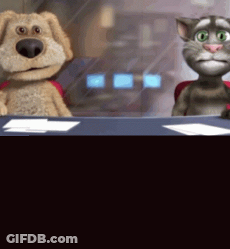 Stuffed Animals At News Desk GIF