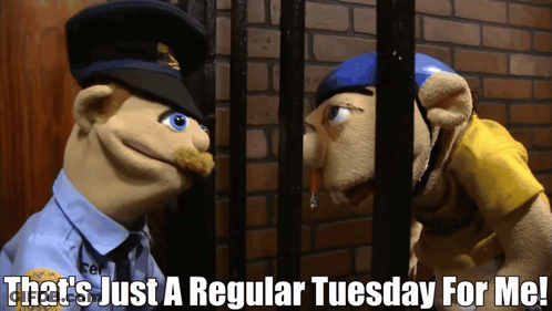 Stuffed Animals Behind Bars Saying Regular Tuesday GIF