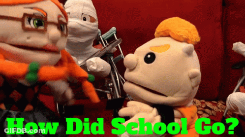 Stuffed Animals How Did School Go GIF