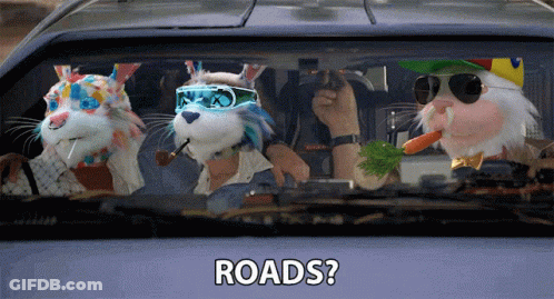 Stuffed Animals In Car With Roads GIF