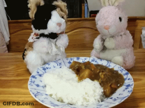 Stuffed Animals Next To Rice And Curry GIF