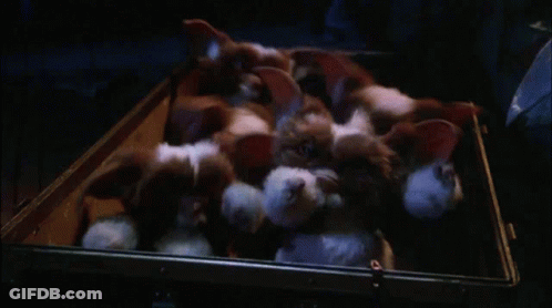 Stuffed Animals Sitting In Case GIF