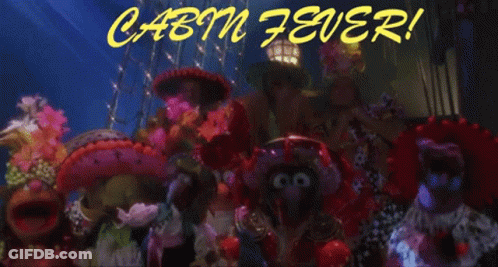 Stuffed Animals With Cabin Fever GIF