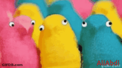 Stuffed Animals With Googly Eyes Aliabdi GIF