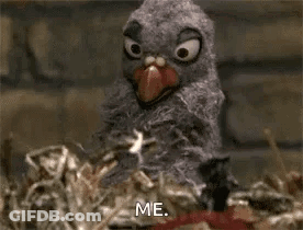 Stuffed Bird Sitting In Nest With Popcorn GIF