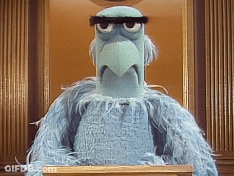 Stuffed Bird With Black Headband GIF