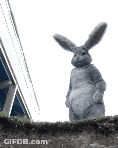 Stuffed Bunny Standing On Dirt Hill GIF