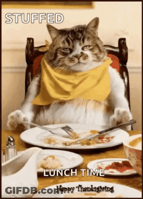 Stuffed Cat Happy Thanksgiving Lunch Time GIF