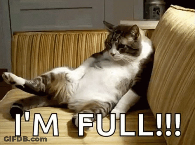 Stuffed Cat Is Full GIF