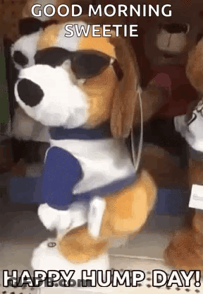 Stuffed Dog Dancing Sunglasses Headphones Good Morning Sweetie Hump Day GIF