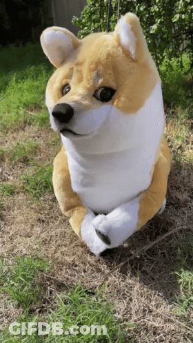Stuffed Dog Sitting In Grass With Paws Crossed GIF