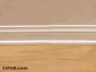 Stuffed Dog With Number 8 GIF
