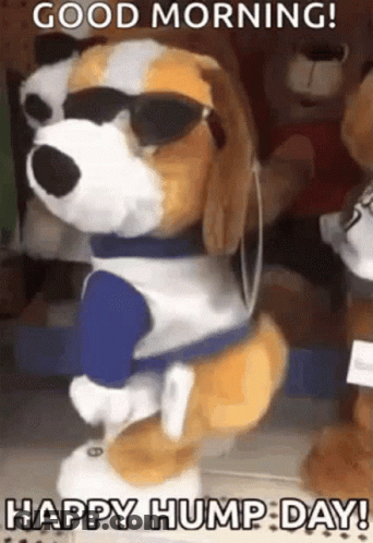 Stuffed Dog With Sunglasses And Blue Shirt Dancing Good Morning Happy Hump Day GIF
