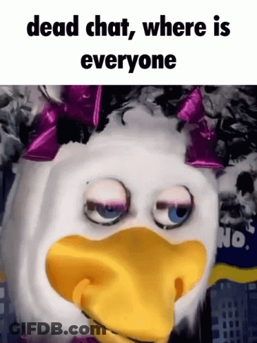 Stuffed Duck Saying Dead Chat Where Is Everyone GIF