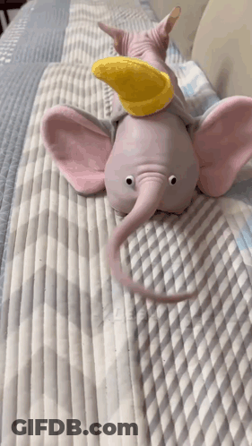 Stuffed Elephant Laying On Bed With Cat GIF