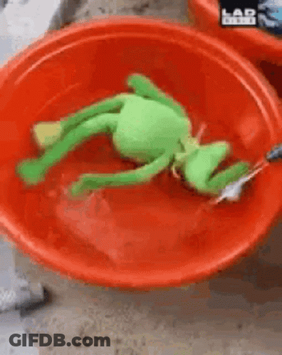 Stuffed Frog Floating In Red Water Bowl GIF