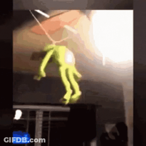 Stuffed Frog Hanging From Ceiling GIF