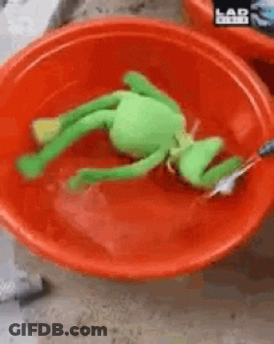 Stuffed Frog In Red Water Bowl GIF